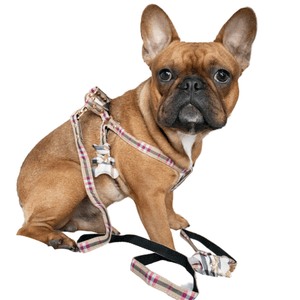 plaid dog harness