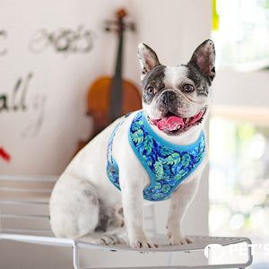 tropical dog harness - french bulldog