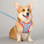 Load image into Gallery viewer, watermelon dog harness - corgi
