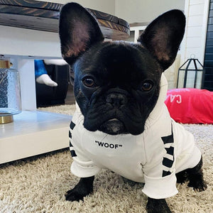 french bulldog hoodie - woof white
