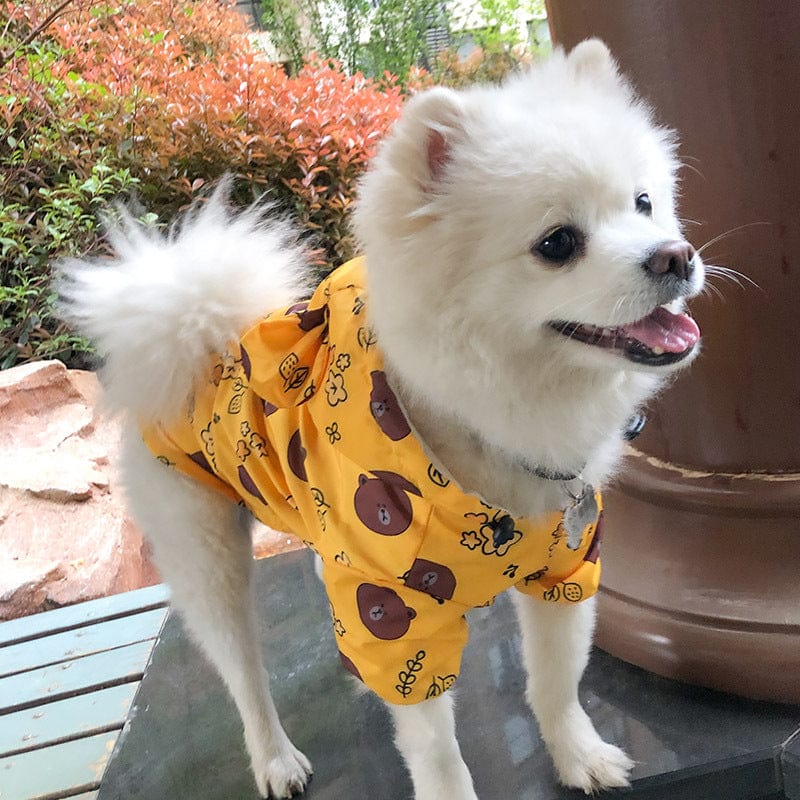 french bulldog raincoat - yellow teddy